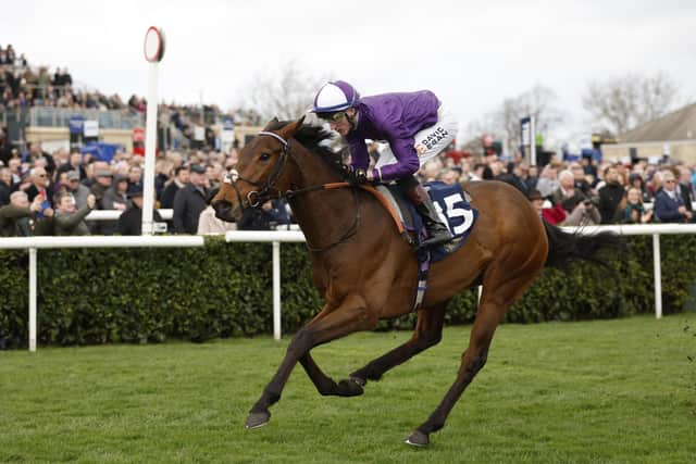 “I think he seems a very happy horse now, he had been out to Bahrain before we got him but he prefers to get his toe in. He bolted up at Goodwood one day for us, his form has been solid.