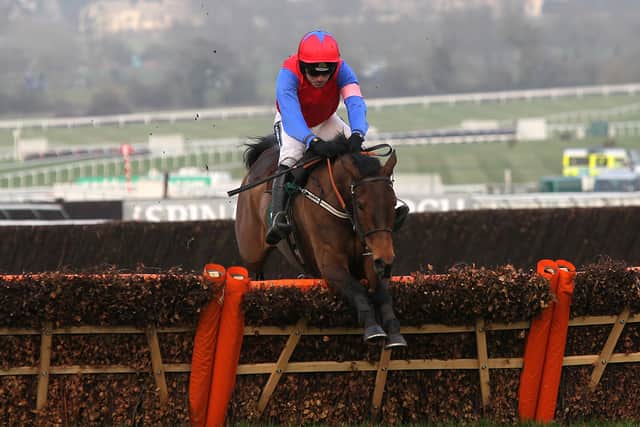 Quevega (Mares’ Hurdle 2009-2014)