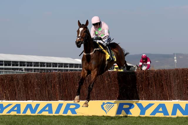 Vautour (Supreme Novices’ Hurdle 2014, JLT Novices’ Chase 2015, Ryanair Chase 2016)