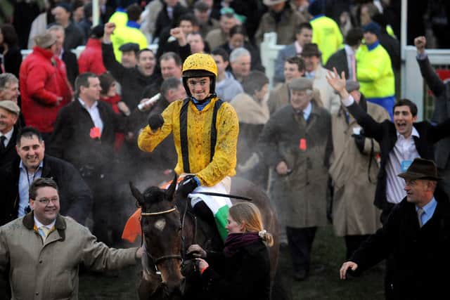 Cousin Vinny (2008 Champion Bumper)