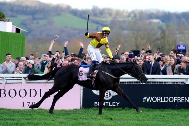 Galopin Des Champs (Martin Pipe 2021 and Gold Cup 2023)