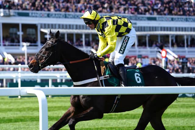 Henderson, though, is not surprised he has ended up plying his trade in the staying ranks and said: “I think lots of horses have done the same, if you take Desert Orchid for example, he looked a two-miler to start with and plenty of them have done it and gone up in trip.