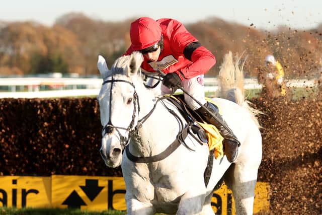 Grey Dawning (Brown Advisory Novices’ Chase, Wednesday/Turners Novices’ Chase, Thursday)