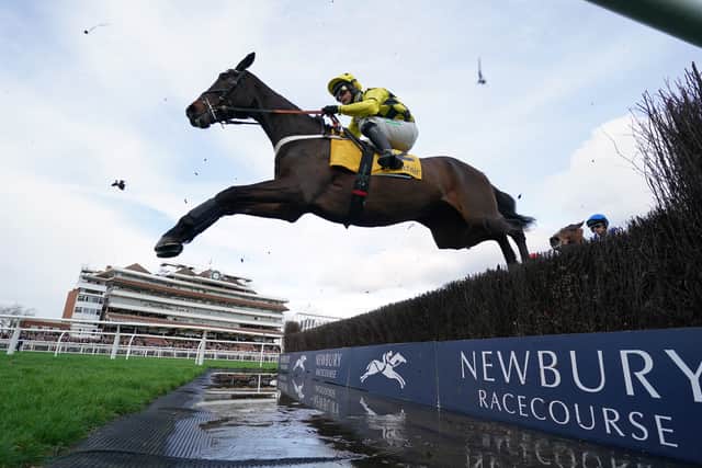 Shishkin (Gold Cup, Friday)