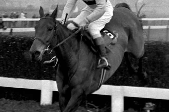 Arkle (1964)