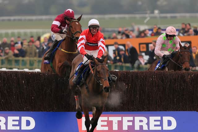Coneygree (2015)