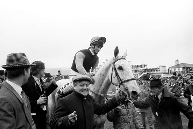 Desert Orchid (1989)