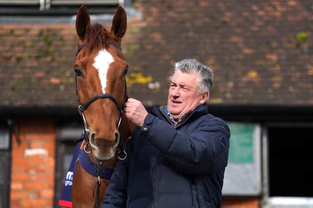 Nicholls’ team indeed partied like it was 1999 and, a quarter of a century on, he is two winners from reaching a Cheltenham milestone.