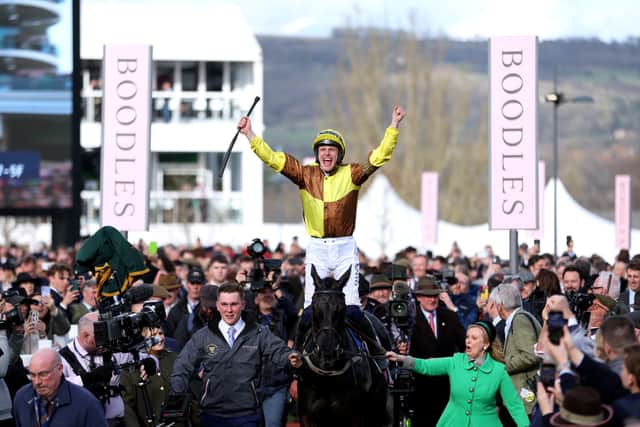 Galopin Des Champs (Gold Cup)