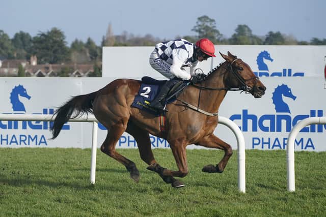 Ballyburn (Supreme Novices’ Hurdle/Gallagher)