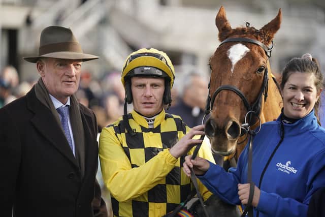 State Man (Champion Hurdle)
