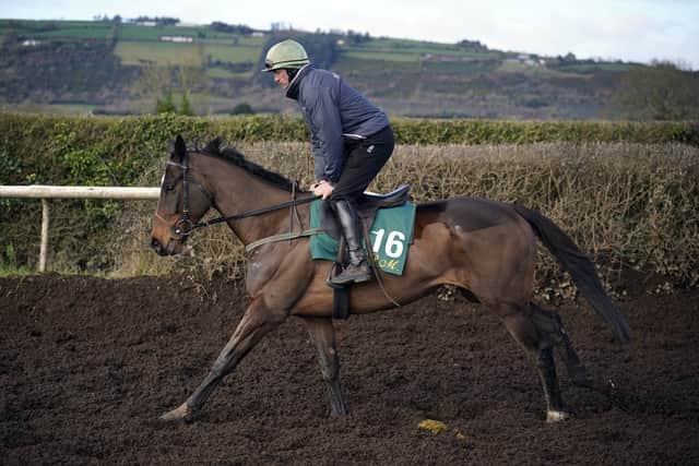 Fact To File (Brown Advisory Novices’ Chase)