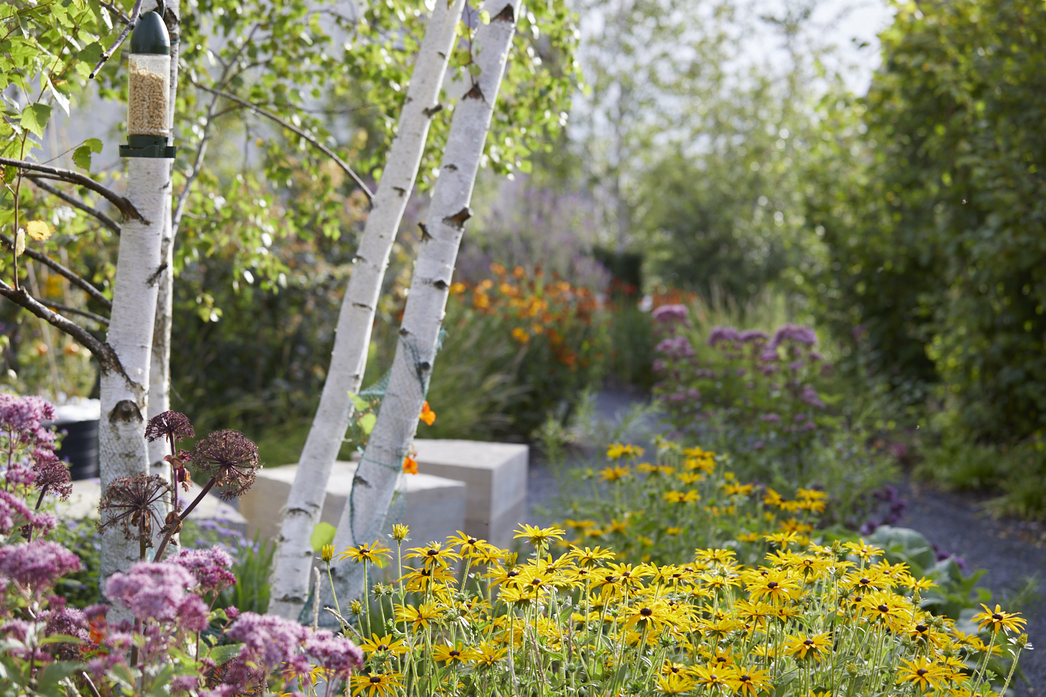 ‘The road to wellbeing is so often carved out with simple moments’ writes Emma in her July column