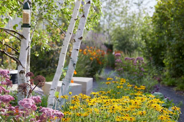 ‘The road to wellbeing is so often carved out with simple moments’ writes Emma in her July column