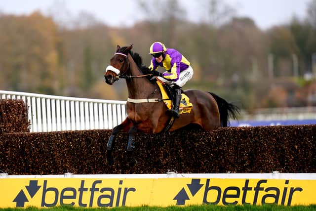 “One is an out-and-out stayer and the other should be as well, but on his pedigree and what he’s done (on the Flat), he (Peking Opera) should have a bit more class.”