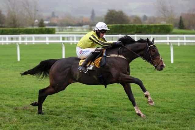 “I don’t think he needs any more practice. He would jump a fence, so you have got to look after the future as well as the present.”