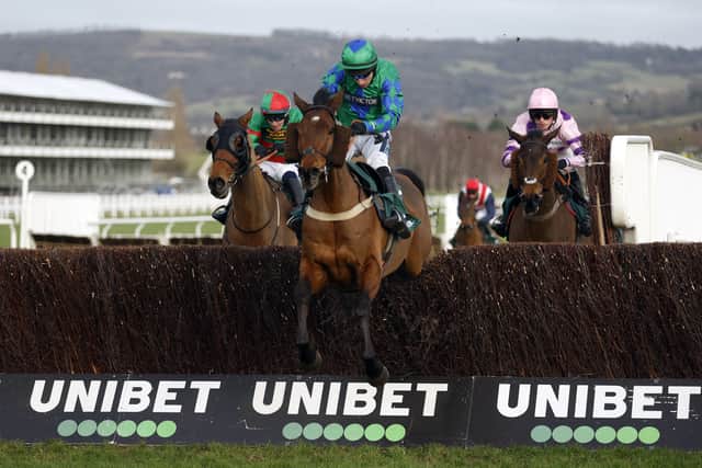 “Stage Star carried the weight last year and if they are good enough off that mark, then it doesn’t matter what weight they are carrying. He’s a massive horse and the weight was never going to worry him and Harry gave him a peach of a ride.”