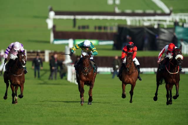 “We will look forward to March and the Gold Cup, hopefully the sun will shine.”