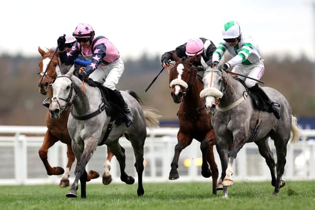 Those results have convinced the fledgling handler he is on the right track and has given him the confidence to take on the best in the game again if the opportunities arise.