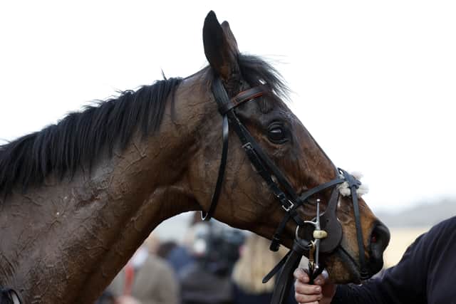 “He stays well and the New course here lends itself to that kind of running and galloping, it’s a thorough test on that track and that suits him.”