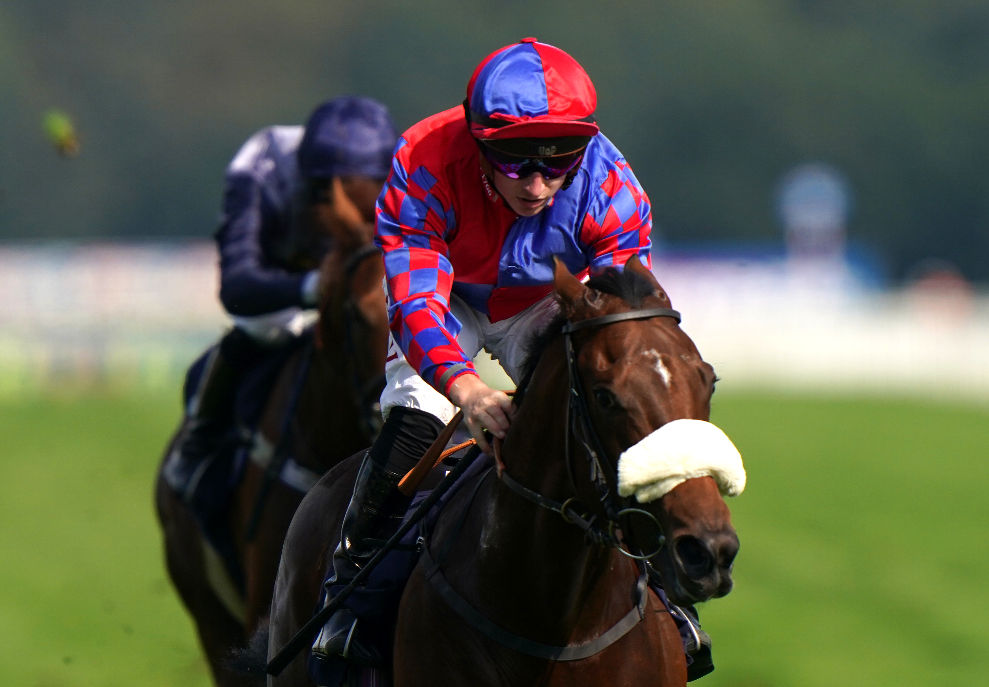 Appleby eyeing May return for sprint star Big Evs