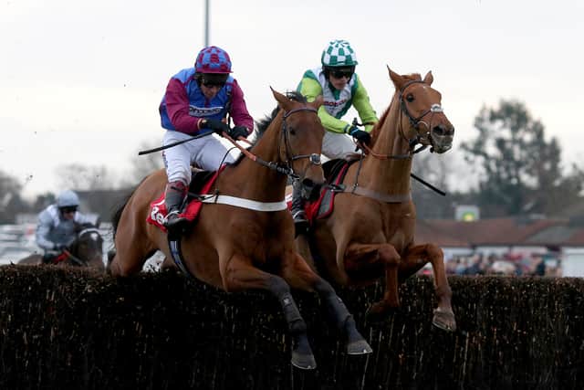“The Leopardstown win was big. I believed in her and I have to say – and I’ve trained a few Grade Ones – that was one I really enjoyed because to go to Ireland and beat them at their own back door is pretty cool. That win was a big feather in our cap, I think”