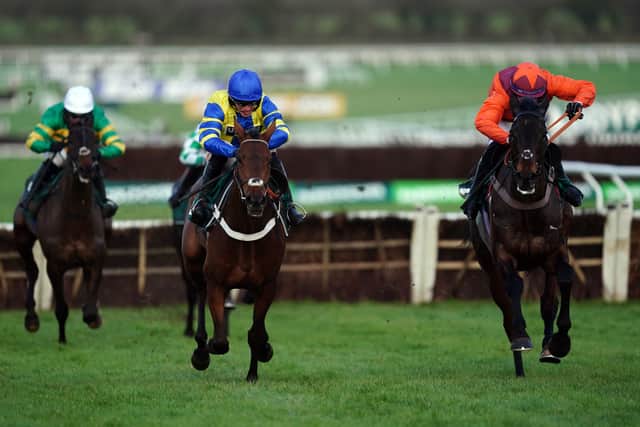 The giant six-year-old had been most impressive in winning a Chepstow bumper and twice over hurdles at Exeter and Newbury prior to stepping up to Grade Two level on the Trials day card.