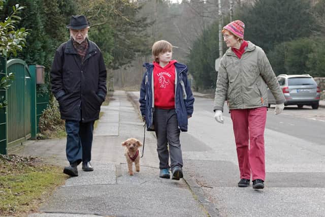 What are the main dangers to walkers?