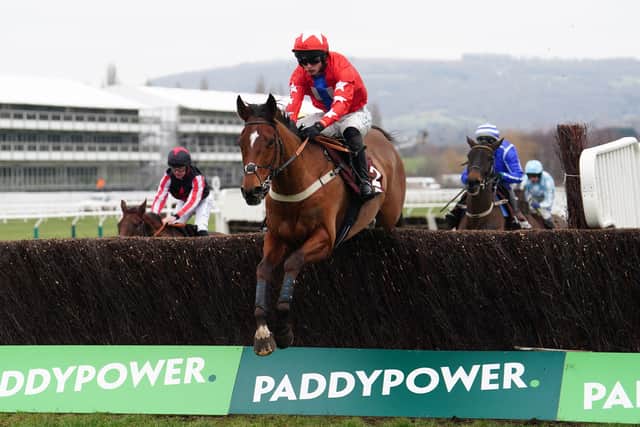 “This was going to be a great clash at Ascot. Both teams were well prepped. We were quite bullish, now we’ve got to wait another week when a lot of things could go wrong. One week won’t make a difference but two weeks probably would, as we want to build him back up for March.”