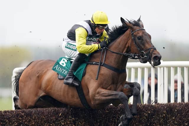 “I want to run him because he’s a horse who loves racing, but I would only run him if I was really, really certain it was the right thing to do.”