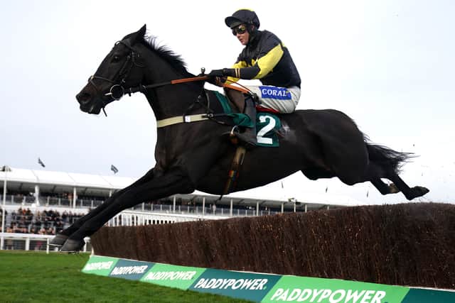 “Whether it is hard enough work we will wait and see, but having said that this Lightning Novices’ Chase is a good race for the money on offer. I think it’s a very good race and we will get to see where we stand.”