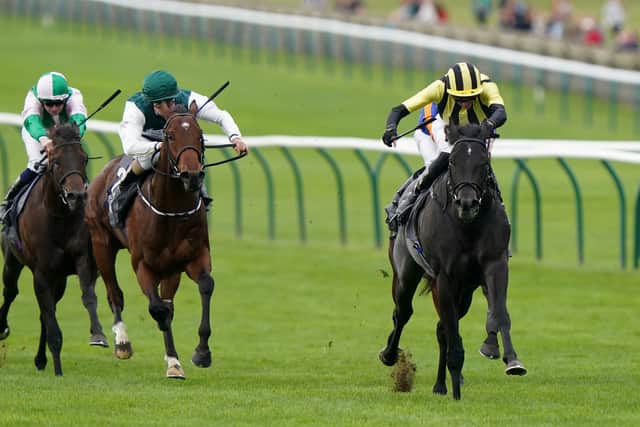 He is seen very much as a sprinter rather than one for the mile of the Classics and Haydock will be his destination before his first major target, the Commonwealth Cup at Royal Ascot.