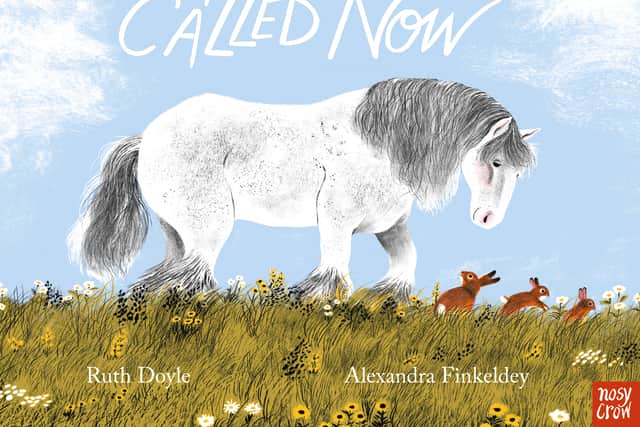5. A Horse Called Now by Ruth Doyle, illustrated by Alexandra Finkeldey, is published in paperback by Nosy Crow, priced £7.99 (no ebook). Available now