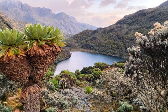5. Rwenzori Marathon, Uganda
