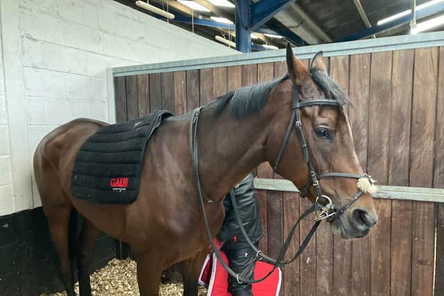 No nerves for Neville as The Real Whacker gets ready to return