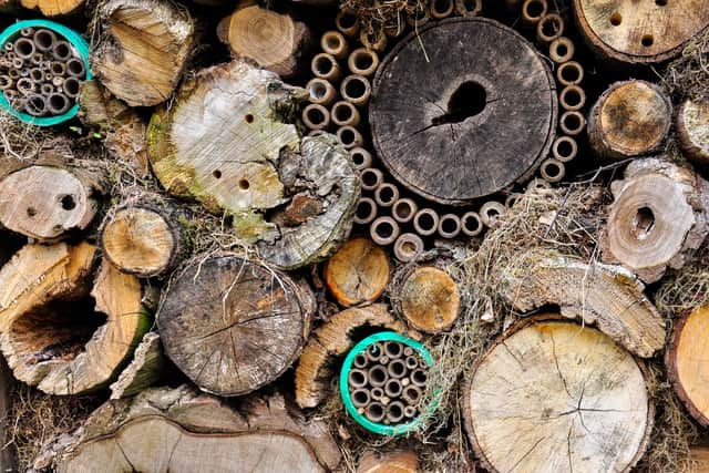 Let wildlife shelter in log piles