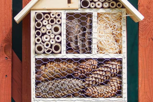 Bring insect hotels indoors