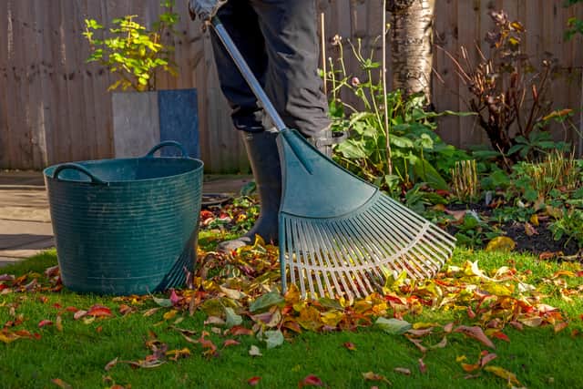 “Hibernating mammals, such as hedgehogs, frogs or toads will use leaf piles to create a nest where they will stay throughout winter, while insects and invertebrates will love the dark, damp nooks and crannies that it has to offer,” Eric Michels, head of pro at CJ Wildlife advises.