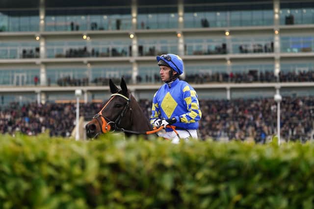 “They are slightly different but at the end of the day they are just jumps,” he added. “The horses have run over them before so you are trying not to interfere with them too much.