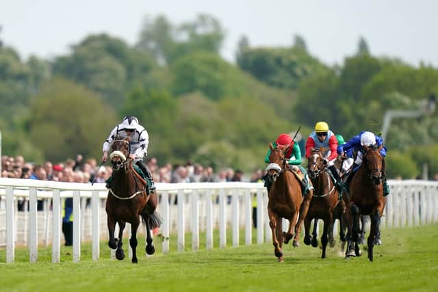 Stablemate Fortino, a multiple Group One winner in Chile, also struggled to get into the September Stakes and finished a well-beaten last of seven on his debut for the yard.
