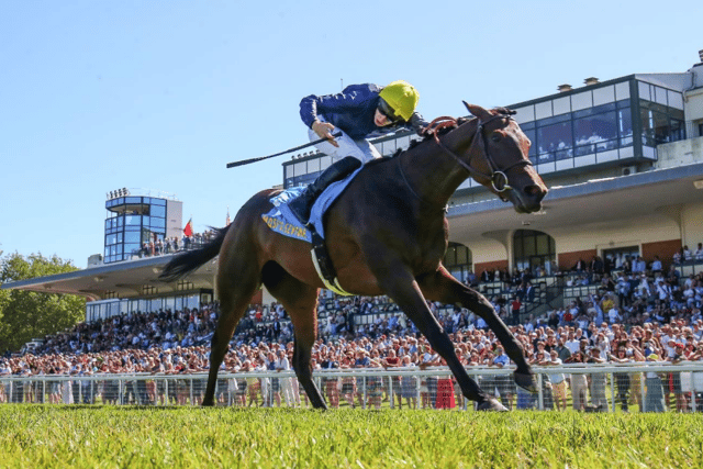 Richardson added: “She’s obviously lightly raced, so we can see after Saturday whether Mrs Thompson (owner) will consider the Breeders’ Cup option as her swansong, or indeed whether she might stay in training next year, which hasn’t been decided yet.”