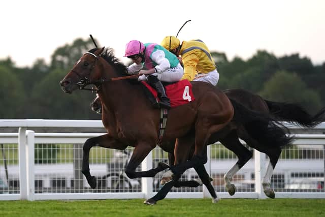 The three-year-old son of Kingman could return to the Rowley Mile next month in a bid to go one better.