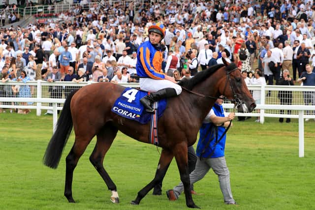 The master of Ballydoyle is also beginning to finalise plans for Qipco Champions Day at Ascot on October 21, with Queen Elizabeth II Stakes favourite Paddington poised to lead the team.