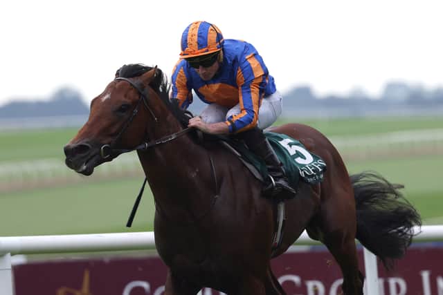 Henry Longfellow, second in the 2000 Guineas market behind City Of Troy, also holds a Dewhurst entry – but he looks set to be put away for the winter.