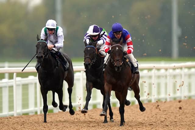 She could now head back out to Dubai before attentions turn to her off-track career as a broodmare later in the winter.