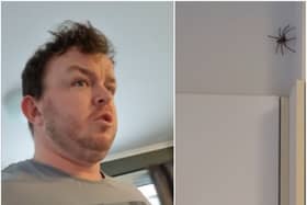 WATCH: Offaly man's hilarious reaction to 'jaysus huge spider' in kitchen