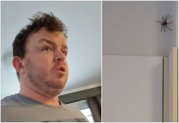 WATCH: Offaly man's hilarious reaction to 'jaysus huge spider' in kitchen