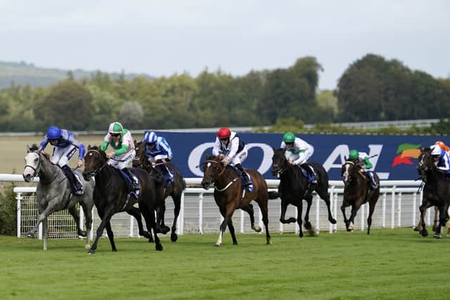 “I think the trip is going to suit him really well,” he said.