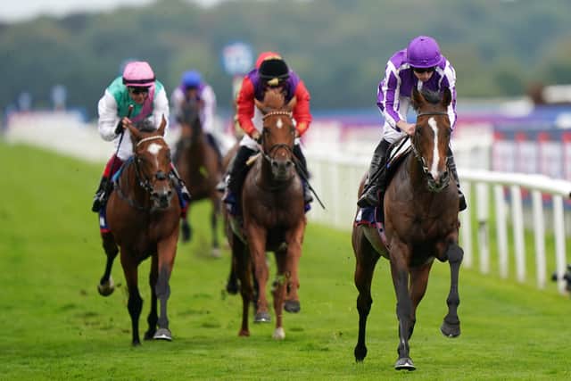A place further back in fifth was Aidan O’Brien’s Continuous, who having been supplemented into the contest at a cost of 120,000 euros, was unable to add this middle-distance showpiece to the St Leger success he claimed at Doncaster.