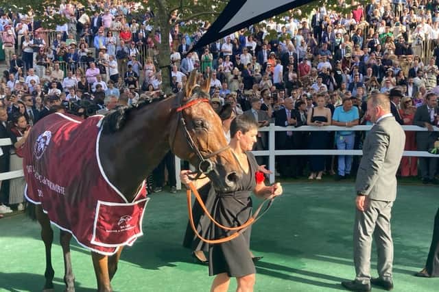 Employing his usual waiting tactics, Cristian Demuro settled Ace Impact – who got very worked up in the paddock beforehand – at the back of the field before unleashing his electrifying burst in the closing stages to overhaul the gallant Westover and pull away for an impressive triumph.